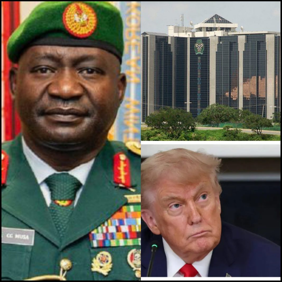 Senate confirms ex-CDS Musa as defence minister after five-hour ...